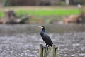 06 01 00_9257_edited-1